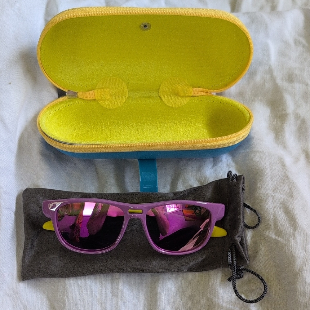 Blue and Purple Sunglasses with Protective Case
